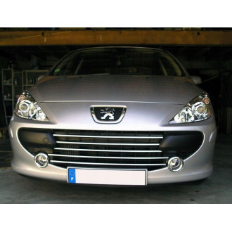 PEUGEOT 307 Lift Listwy CHROM GRILL atrapa Tuning